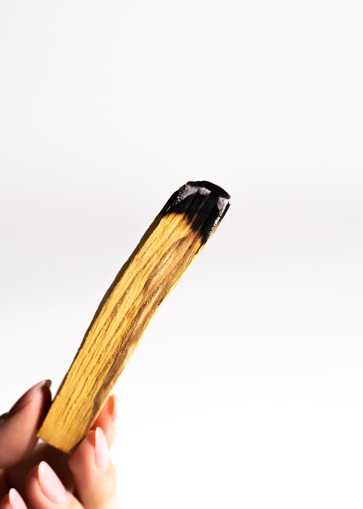 PALO SANTO